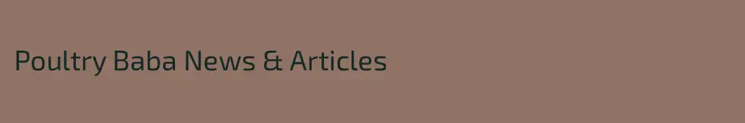 Poultry Baba News & Articles